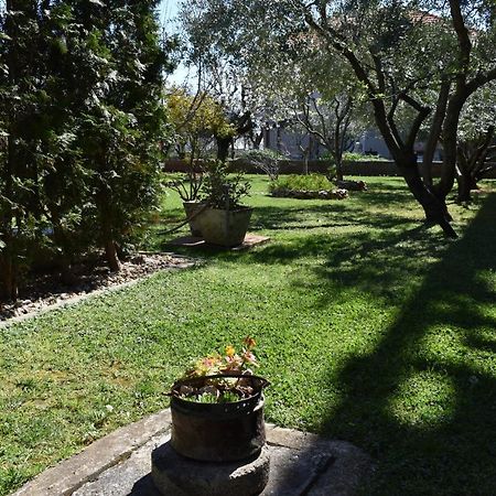 Apartman Dodo Zadar Eksteriør bilde